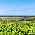 2248-ringkobing-vestklitvej-16-a 別荘